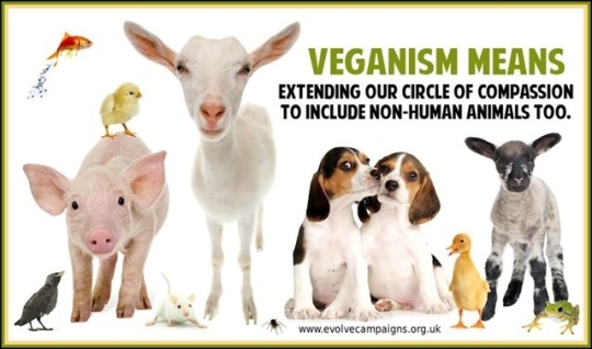 Vegan Poster